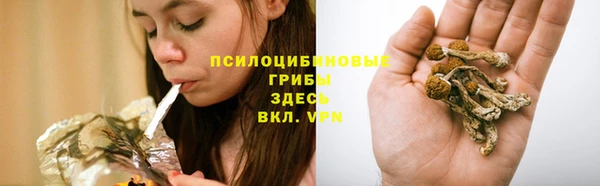 бутират Арсеньев
