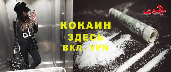 PSILOCYBIN Болохово