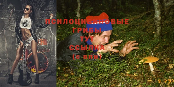бутират Арсеньев
